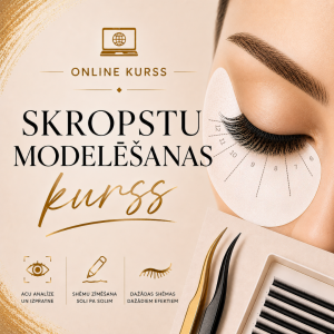 MODELĒŠANA SKROPSTU PIEAUDZĒŠANĀ